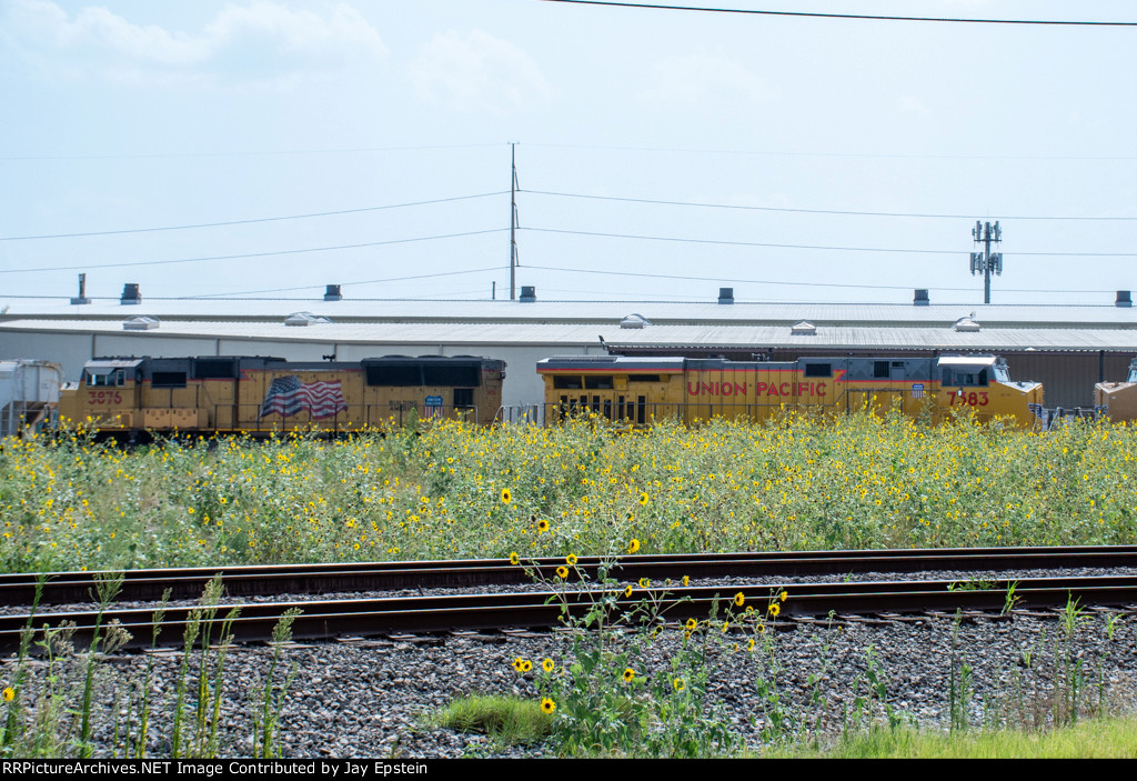 UP 7383 and 3876 trail on a manifest at Tower 26